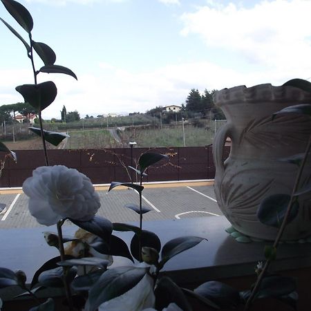 Affittacamere Stranamore Frascati Εξωτερικό φωτογραφία