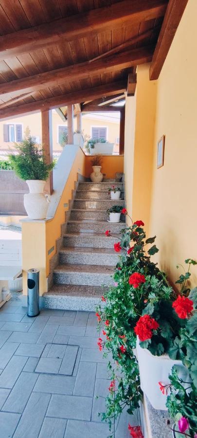 Affittacamere Stranamore Frascati Εξωτερικό φωτογραφία