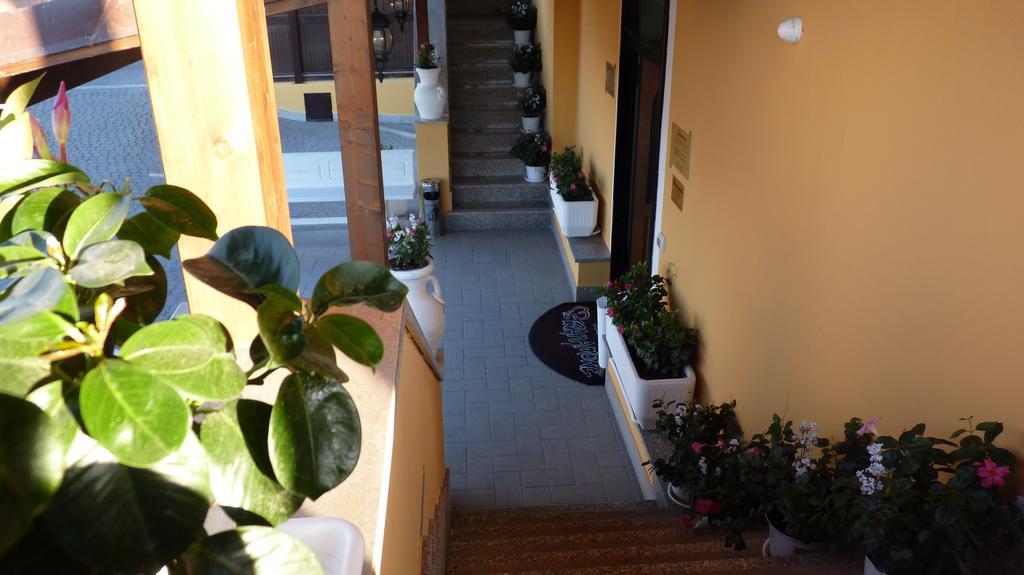 Affittacamere Stranamore Frascati Εξωτερικό φωτογραφία
