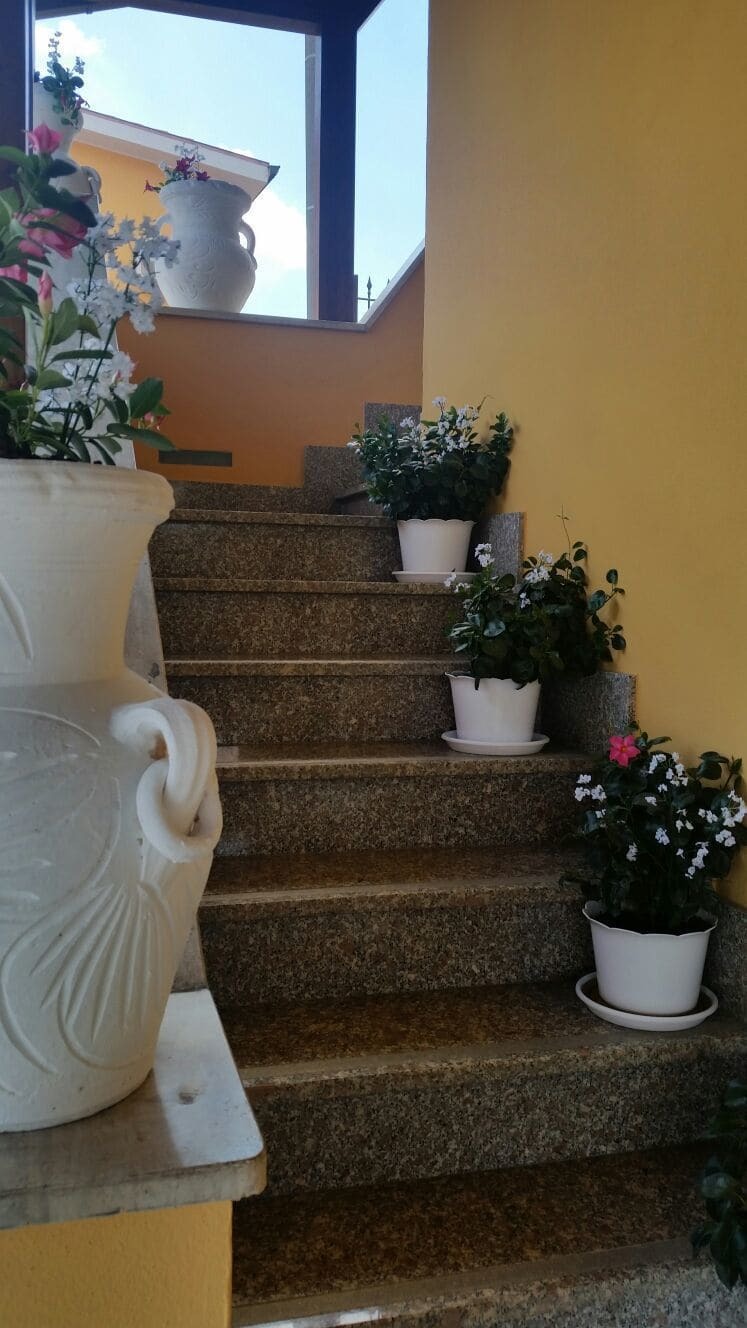 Affittacamere Stranamore Frascati Εξωτερικό φωτογραφία